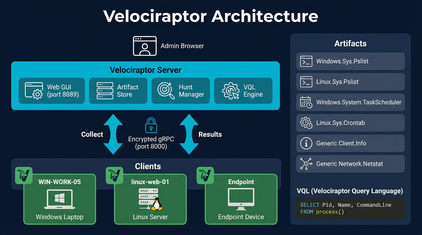 Velociraptor server-client architecture — agents on endpoints poll the server, analysts interact through the web GUI