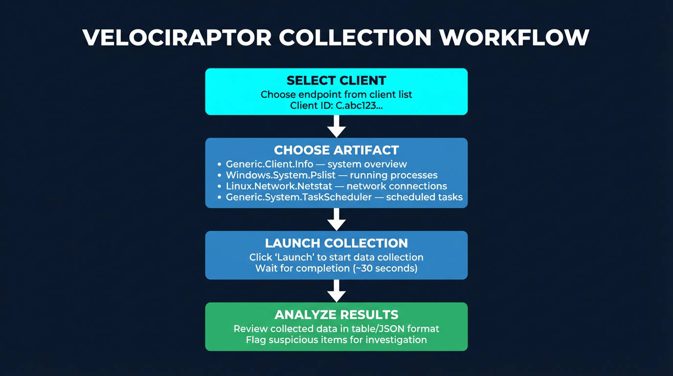 Velociraptor Collection Workflow